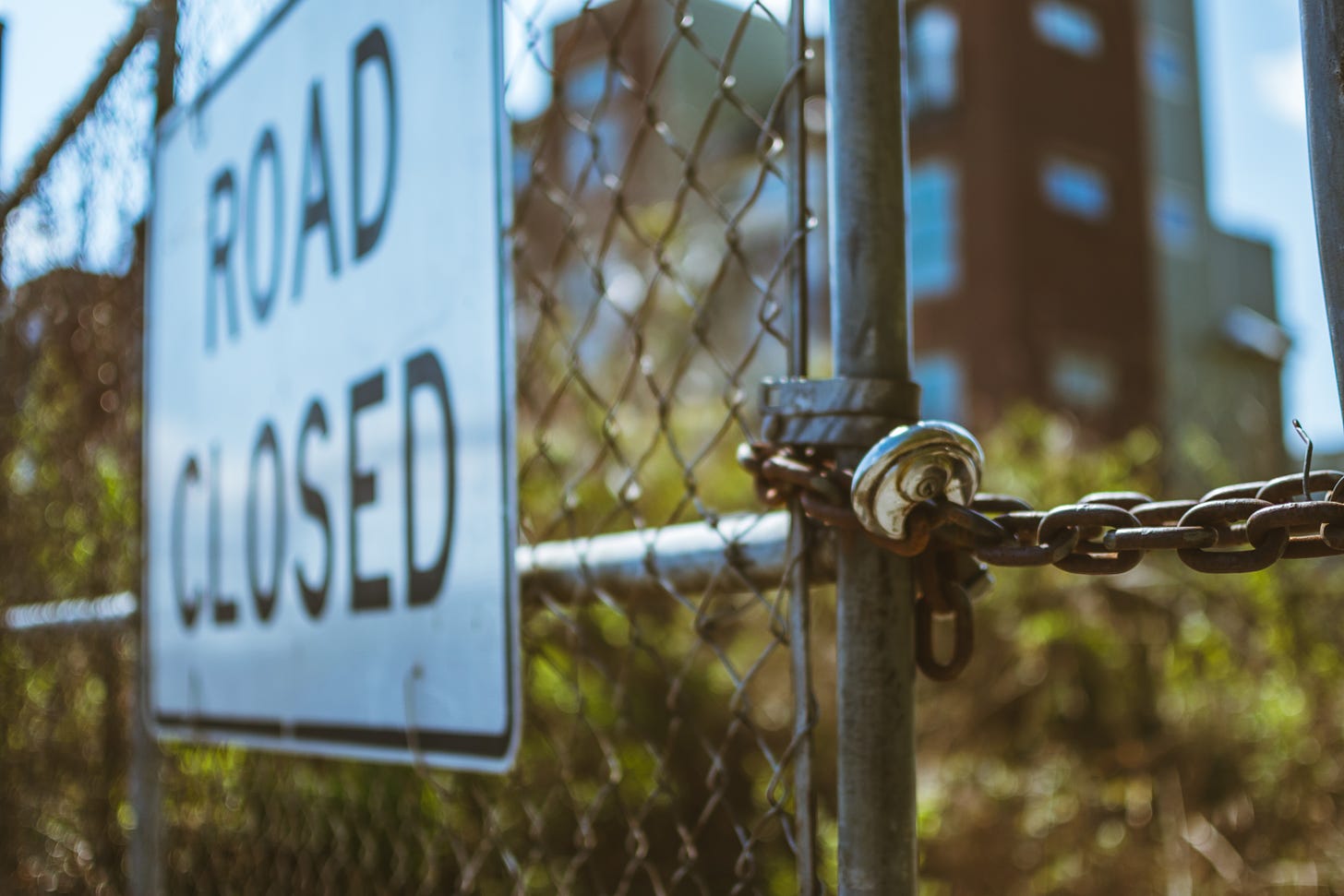  A chain link fence sealed with a rusted chain loop and lock, with a road closed sign in  front of a green  bush and a high  rise building.