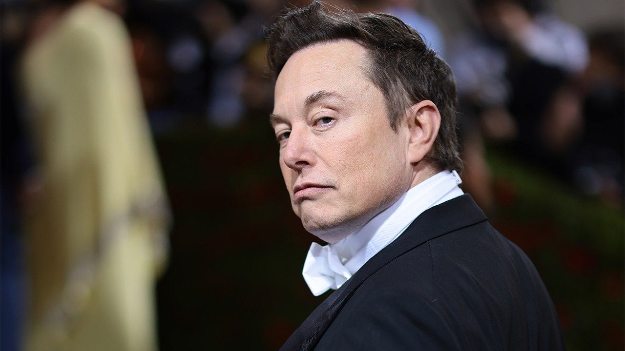 Elon Musk jumps into transgender debate, says prison for parent, doctor who  'sterilizes' a child | Fox Business