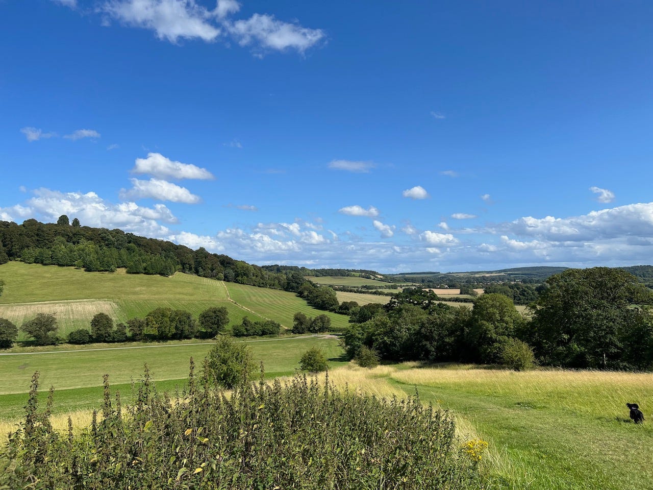 Photo by Author — a late summer walk