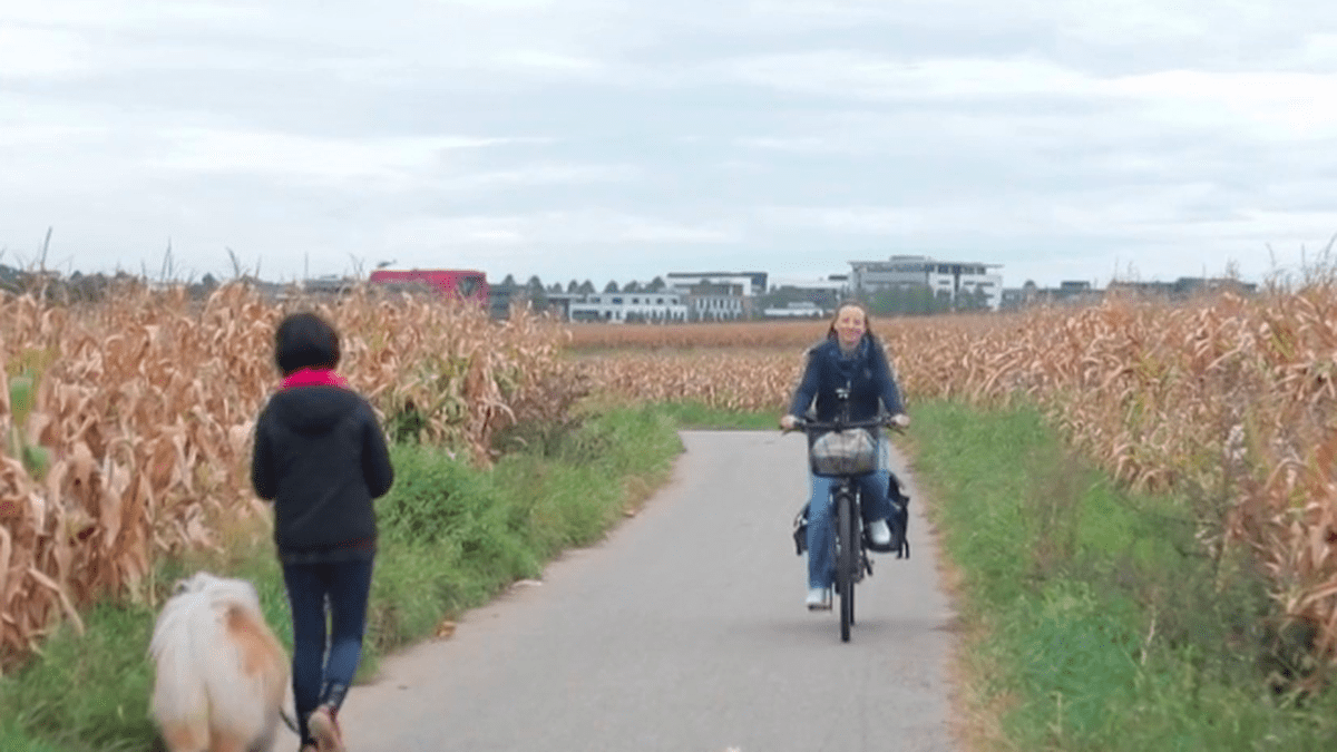 Bas-Rhin : Niederhausbergen, le village où le vélo remplace la voiture