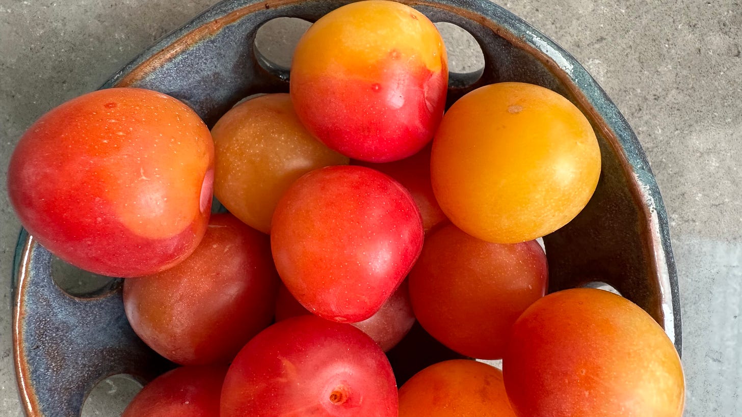 Photo of early gold plums in a ceramic bowl