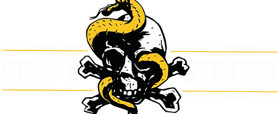 pirate-stream-media-logo.png