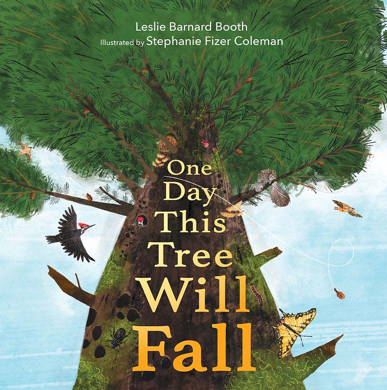 Cover of the nonfiction picture book One Day This Tree Will Fall by Leslie Barnard Booth, illustrated by Stephanie Fizer Coleman. Shows huge old-growth evergreen tree with broken branches, green growth, holes, and rot. Shows wildlife that benefit from old-growth trees, such as squirrel, pileated woodpecker, butterfly, and beetle.