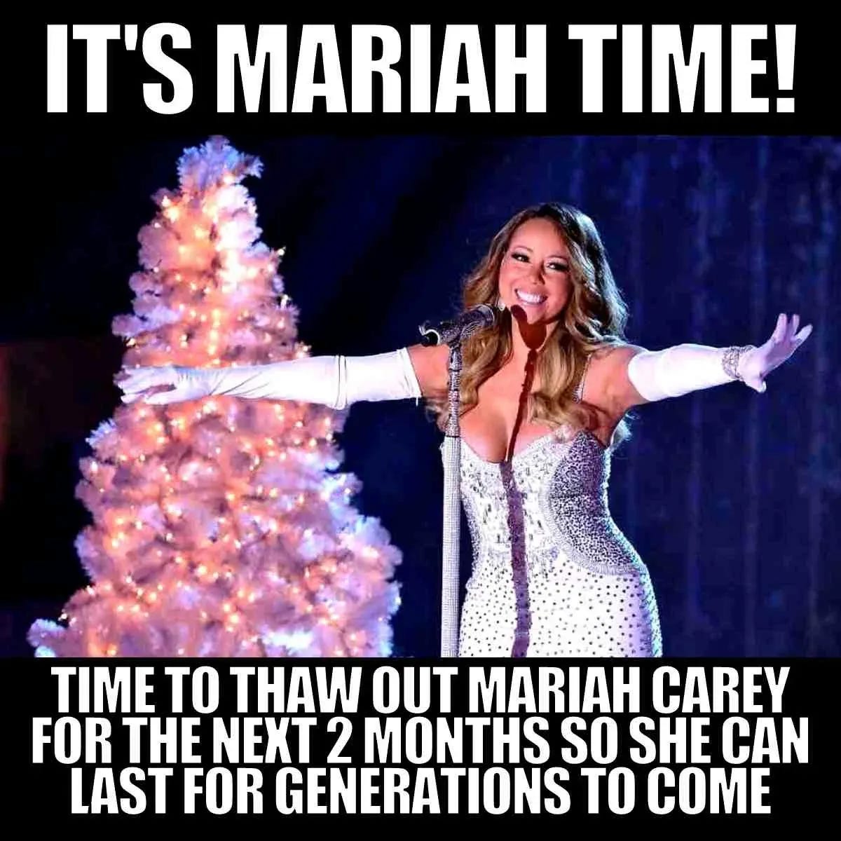 29 Funny Mariah Carey Memes Honoring This Diva