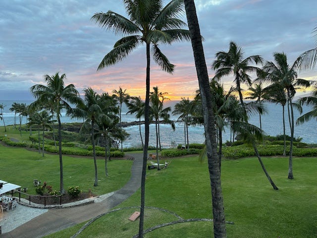 A view of palm trees and the ocean at sunset