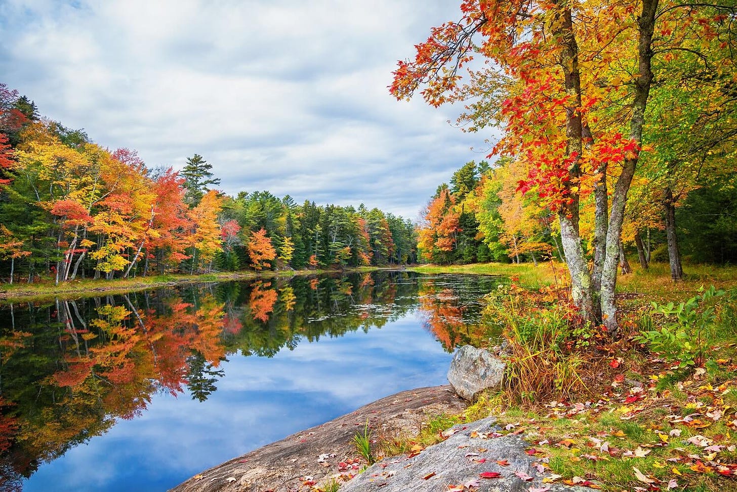 Fall Foliage Reflected in Lake