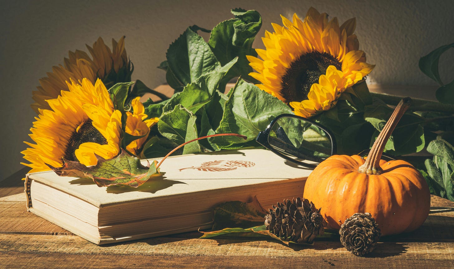 Book surrounded by fall flowers and foliage