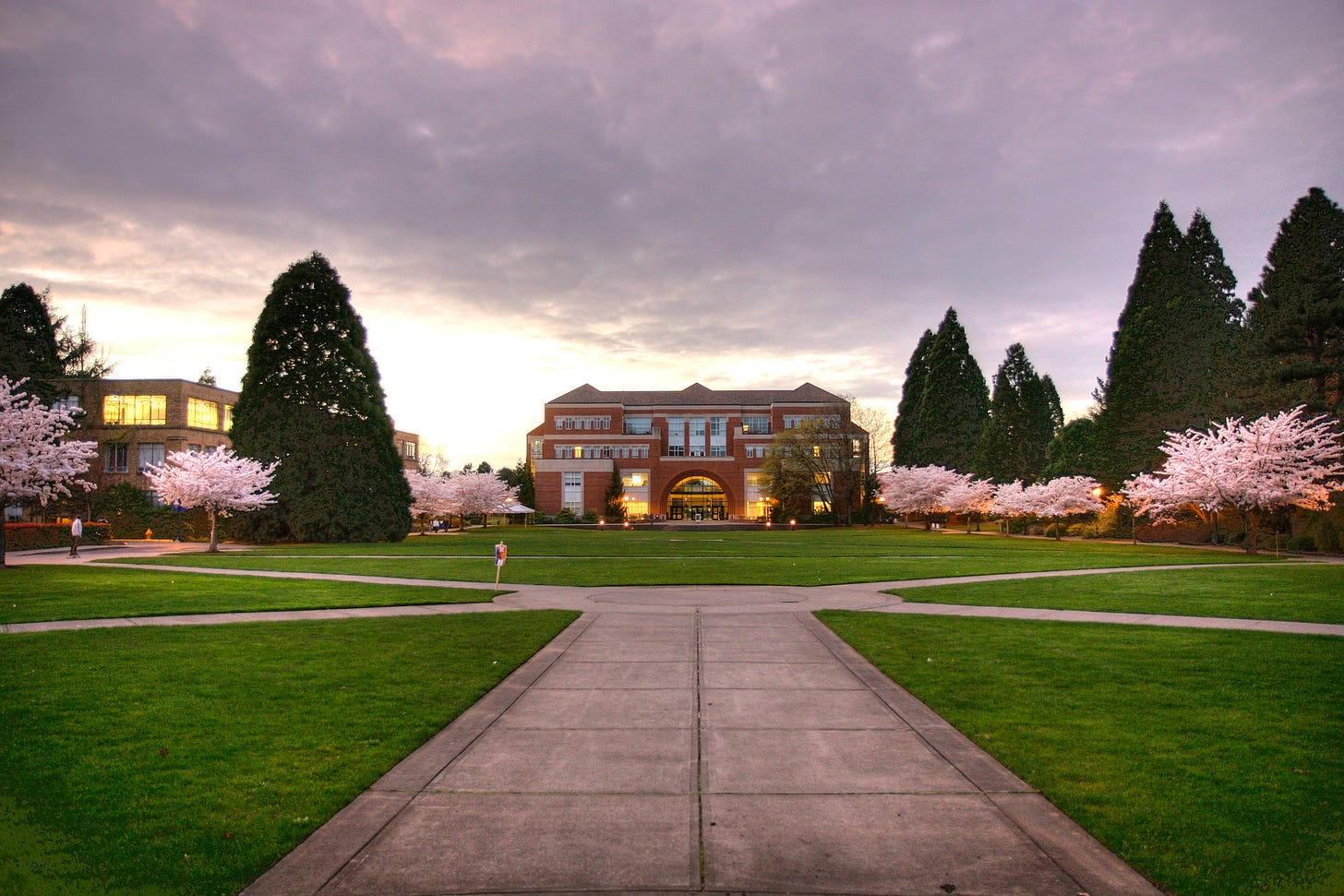 A grassy quad area at the University of Portland, with sidewalks, blooming trees, and a building in the distance.