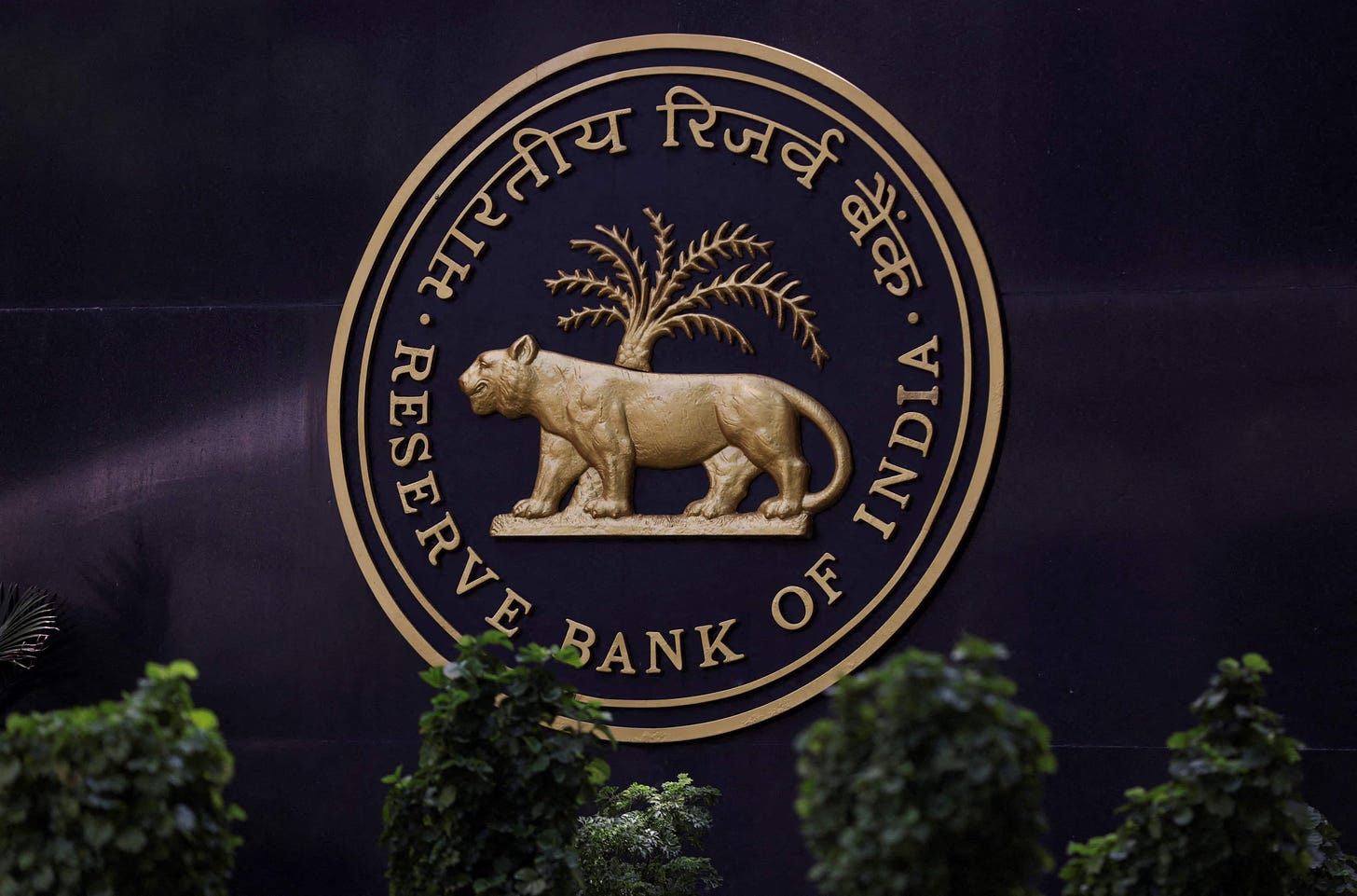 RBI to set up cloud facility for financial sector and fintech repository;  here is what you need to know 
