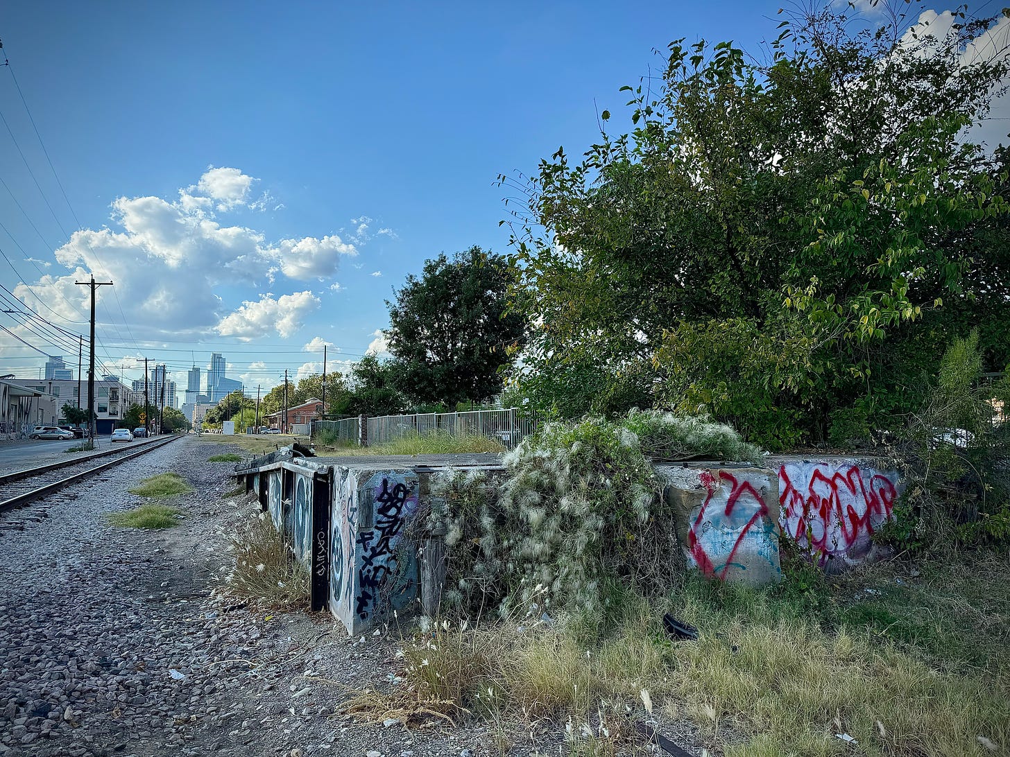 Old man's beard growing along railroad tracks in Austin