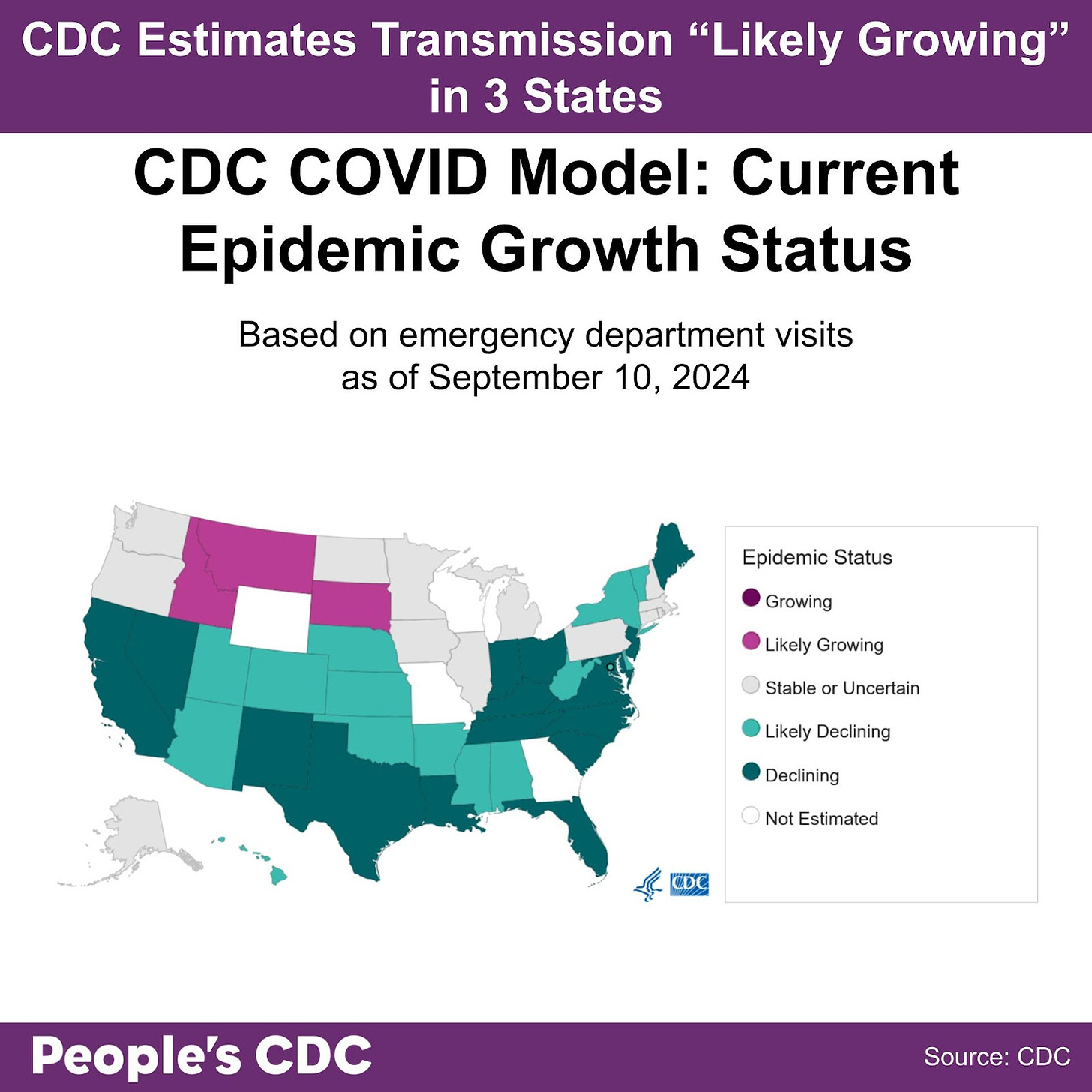 A map of the United States color-coded in shades of purple and gray displaying the CDC COVID Model: Current Epidemic Growth Status based on emergency department visits as of September 10, 2024, where purple tones indicate growing or likely growing, teal tones indicate declining or likely declining, and gray indicates “Stable or Uncertain.” States without predictions are represented in white. Text above the map reads “CDC Predicts transmission is ‘Growing’ or ‘Likely Growing’ in 3 states.” Thirty one states are light to dark teal and have “Declining” or “Likely Declining” status. Three states are light purple and have “Likely Growing” Status. All other states and territories are either “Stable or Uncertain” or did not receive estimates. Text at the bottom reads “People’s CDC. Source: CDC.”