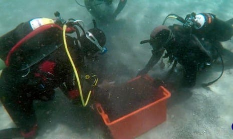 Divers on the seabed.