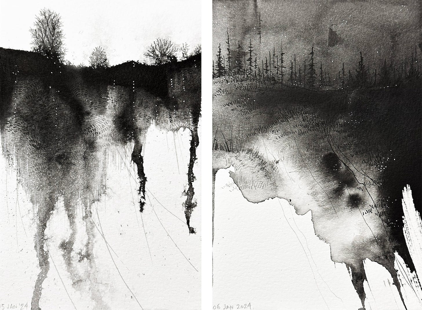 Two watery black ink paintings showing landscapes of scrubby trees and surface textures of grass and long roots dripping downward. One landscape is daytime; gas-white sky of dense cloud cover; the other is evening, and stars pierce the deepening dusk.