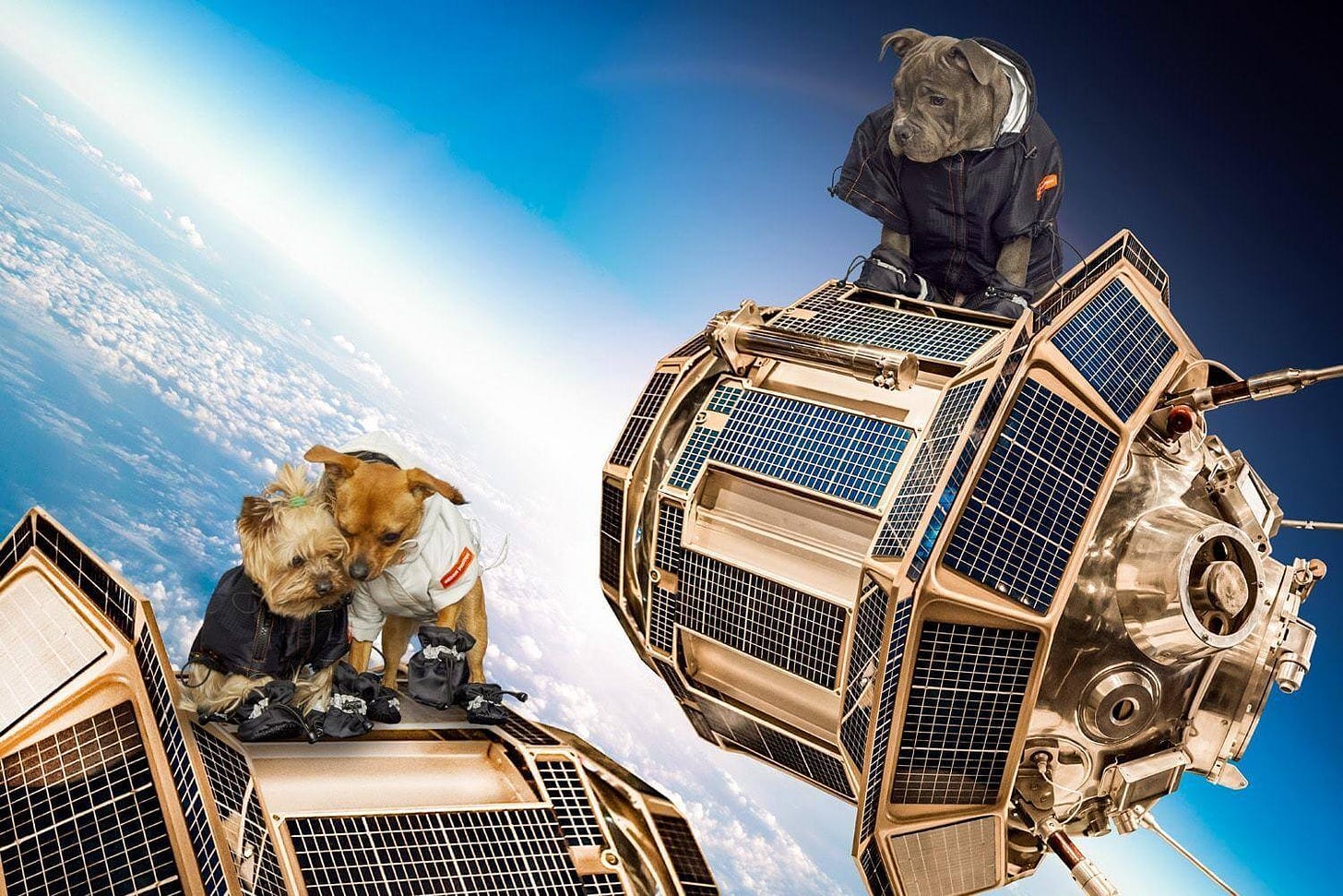 Heron Preston and Very Important Puppies ara back in NASA - HIGHXTAR.