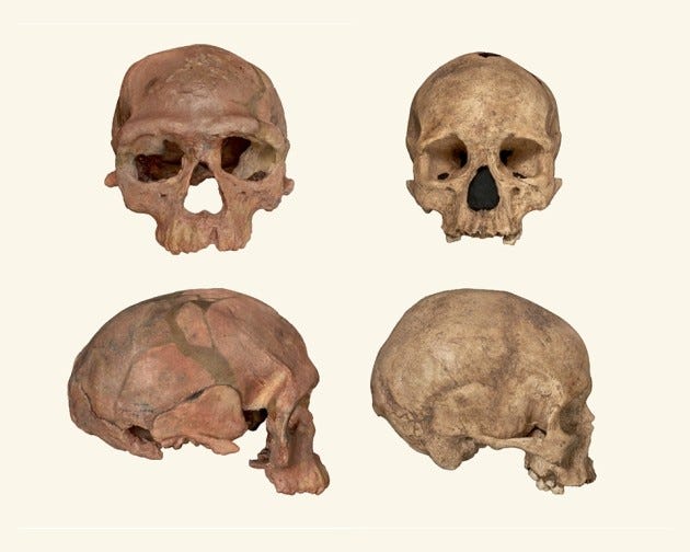 Oldest Homo sapiens fossil claim rewrites our species' history | Nature