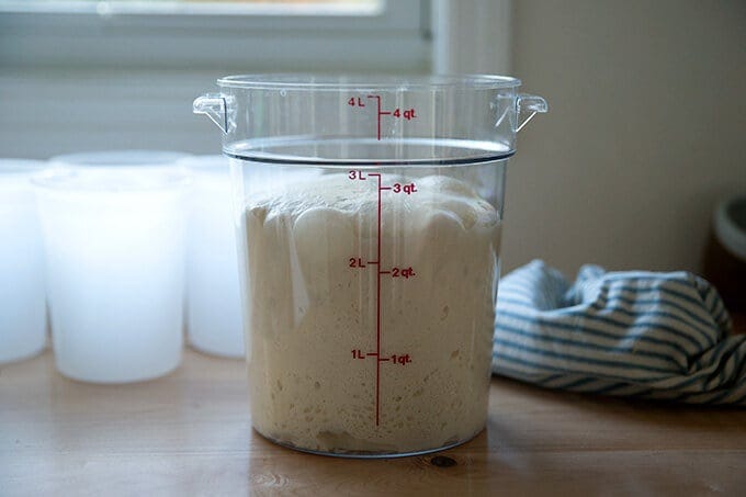 Sourdough pizza dough after bulk fermentation.