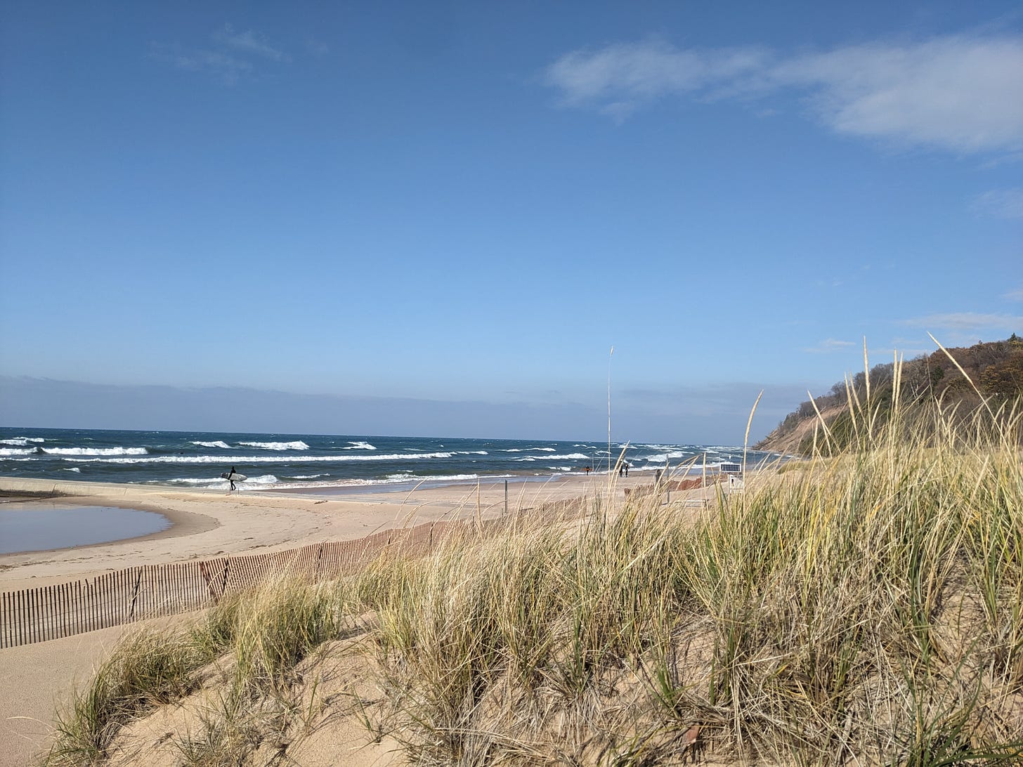 The Lake Michigan shoreline, with dune grass in the foreground and dark blue water in the distance. There are whitecaps on the lake, and surfers are walking toward the water.