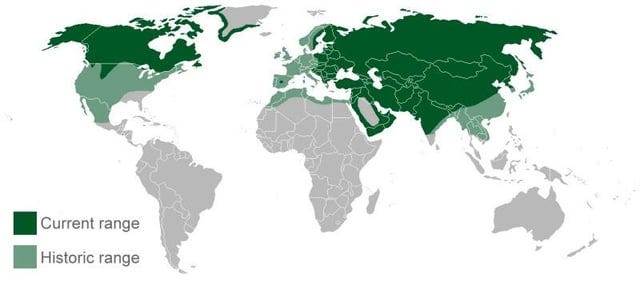 r/MapPorn - Current range Historic range