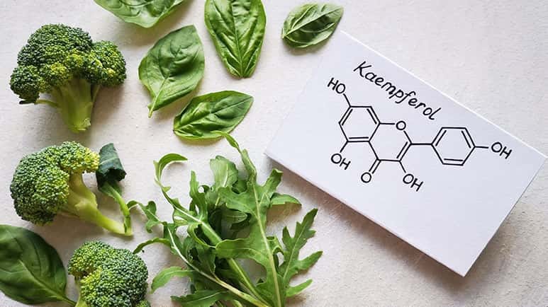 kaempferol antiallergic benefits