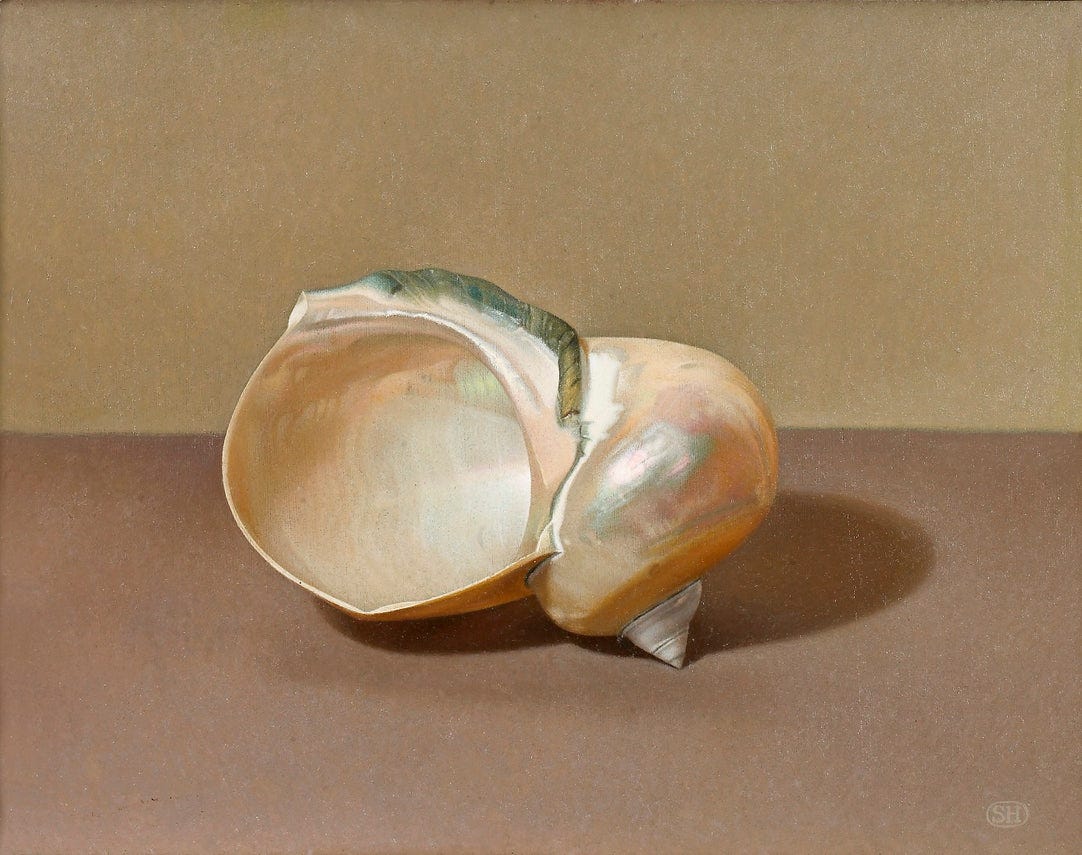 Shell