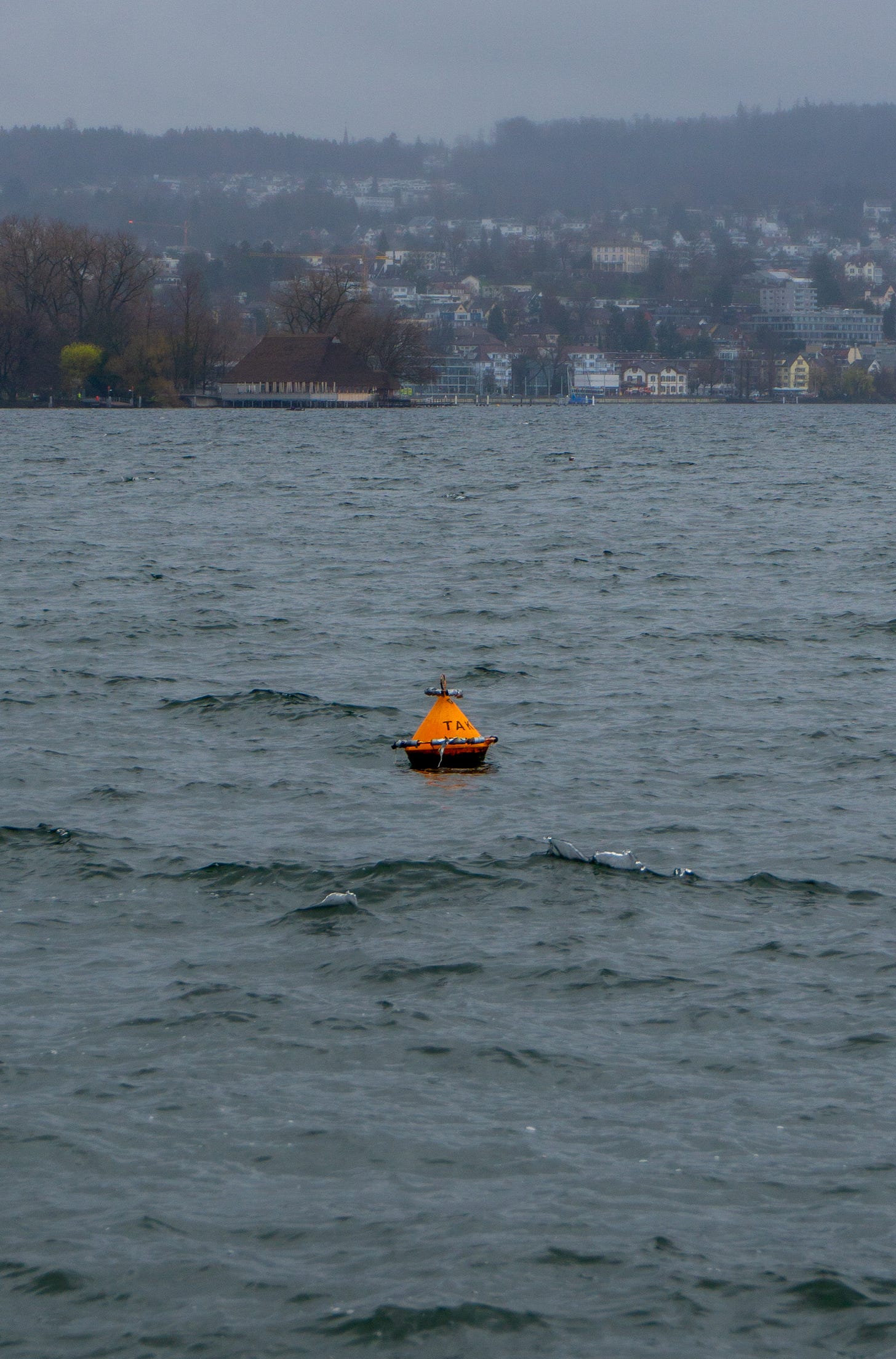 A buoy in the water