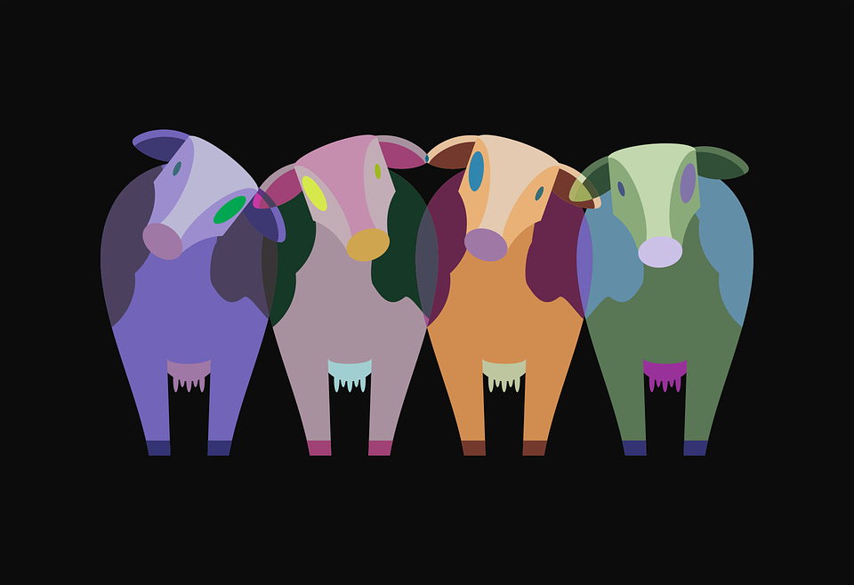 Free Cows Animals vector and picture