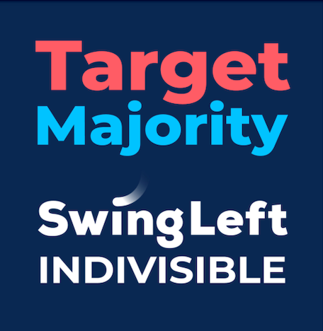 Target Majority NYC--a Swing Left/Indivisible Group | Swing Left