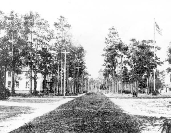Black and white photo of treelined grass road leading through a Florida village