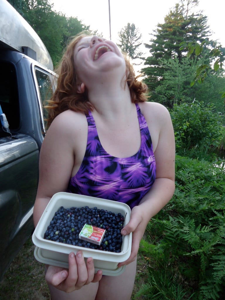 Blueberry picking