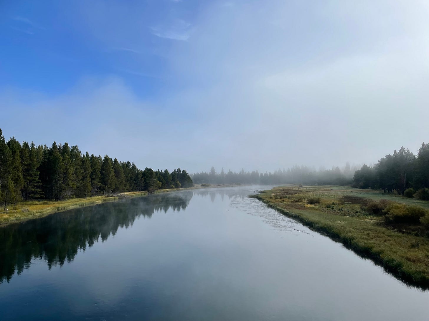 blue sky lined with forest trees of the Deschutes River in Sunriver, Oregon