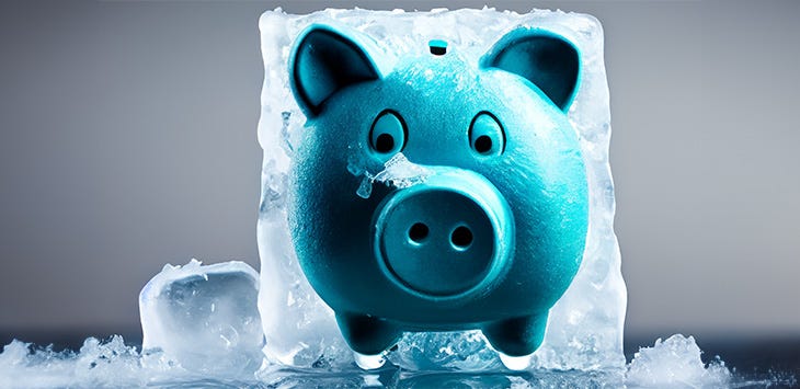 Photo of a piggy bank inside a block of ice.