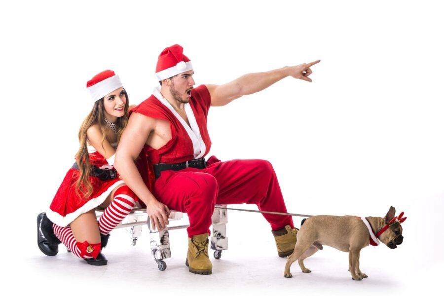 hottest holiday gift guide family friends sexy santa pointing with pug sleigh