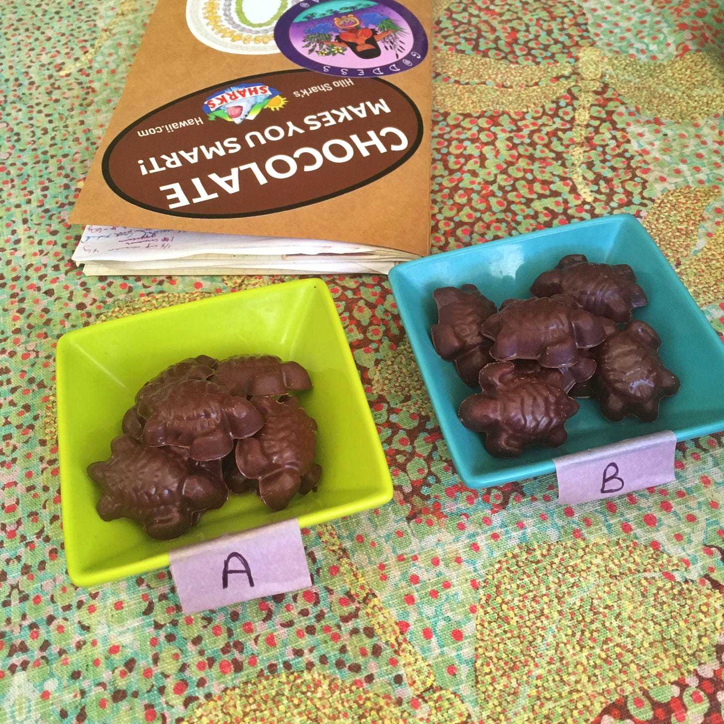 Two square bowls of turtle shaped chocolate labeled a and b with notebook