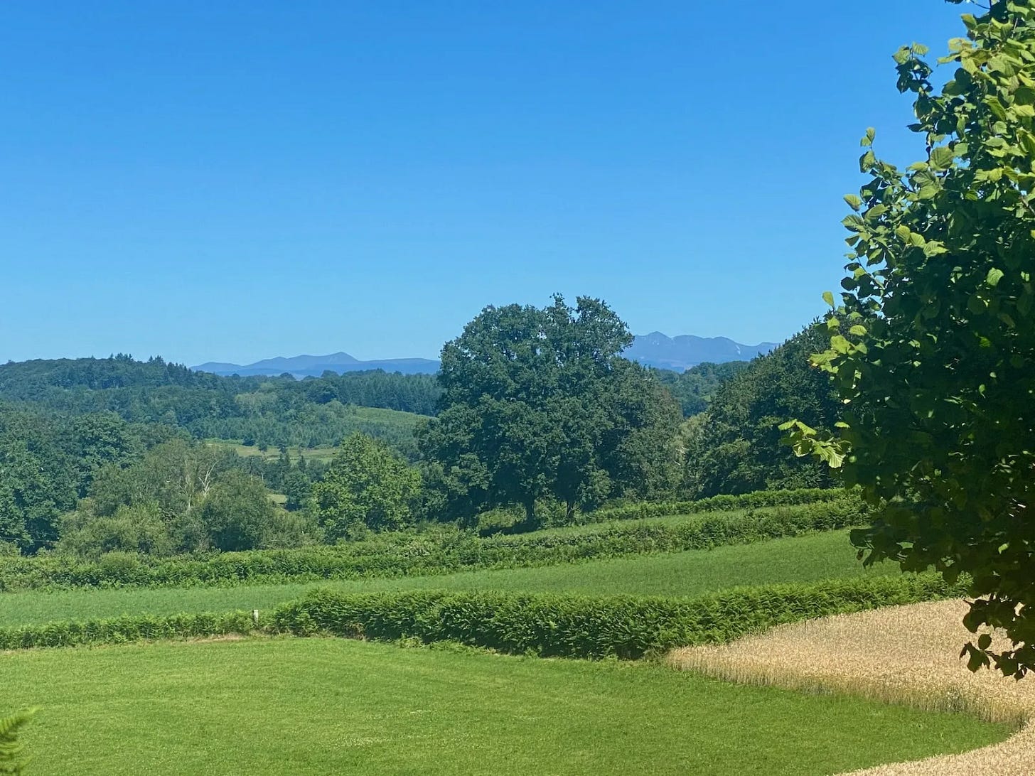 Le Cantal Le Cantal