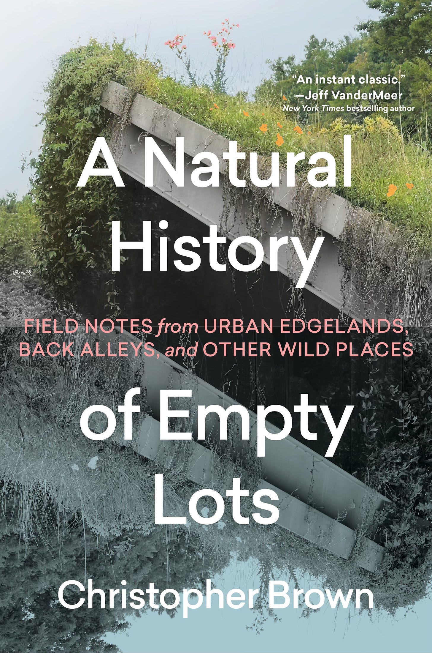 Cover of A Natural History of Empty Lots