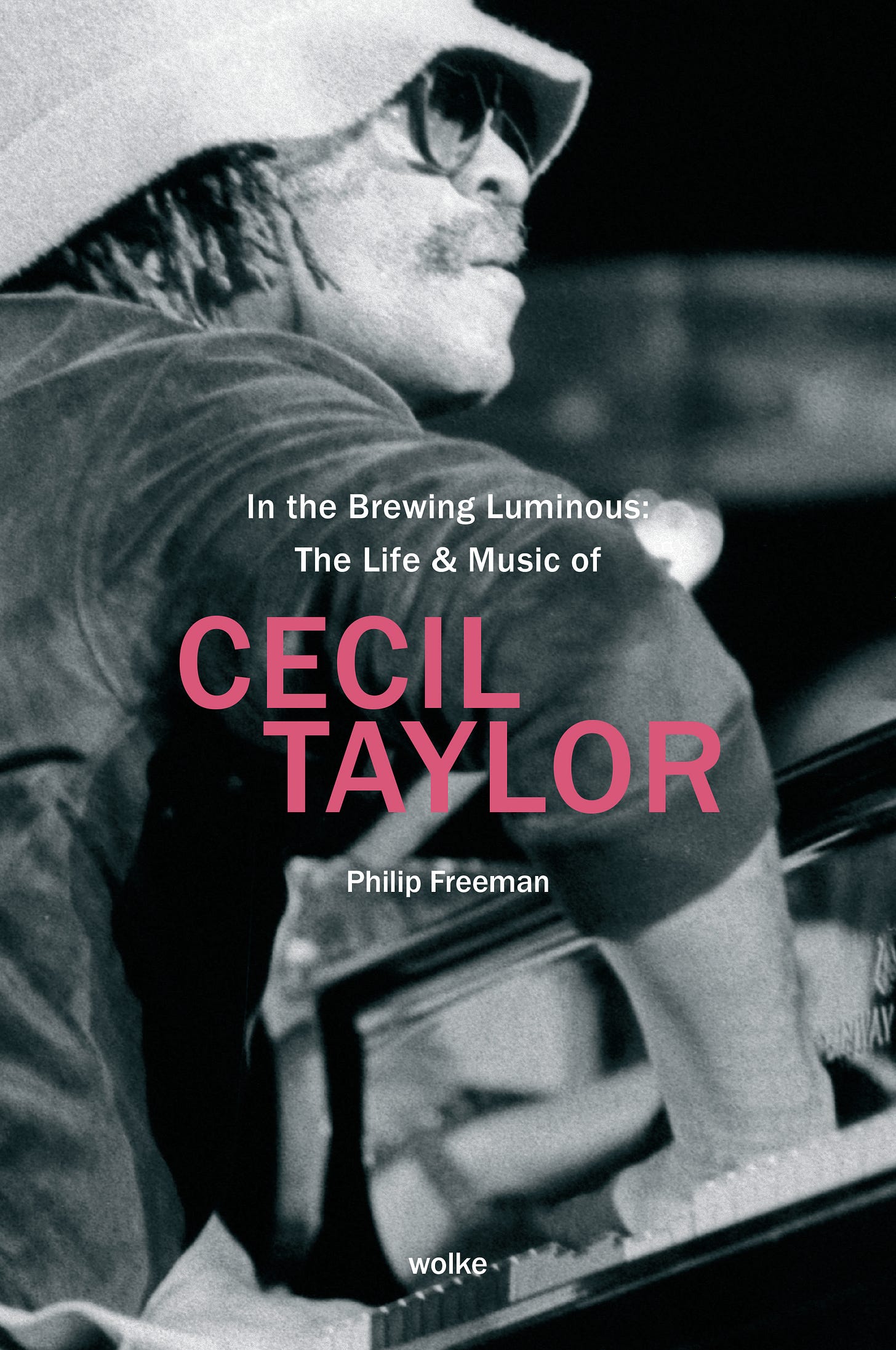 In the Brewing Luminous: The Life & Music of Cecil Taylor cover