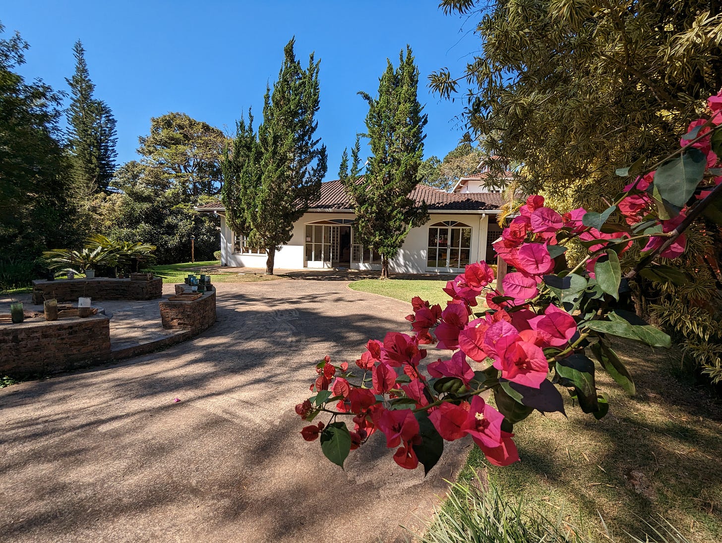 The reception area of a guesthouse, with pink bougainvilla flowers leaning from the right into the image, and the guesthouse's reception at the back, two pine trees next to the front door. There's also a firepit to the left, with some tree saplings around it.