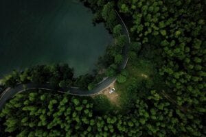 car on a forest road seen from overhead