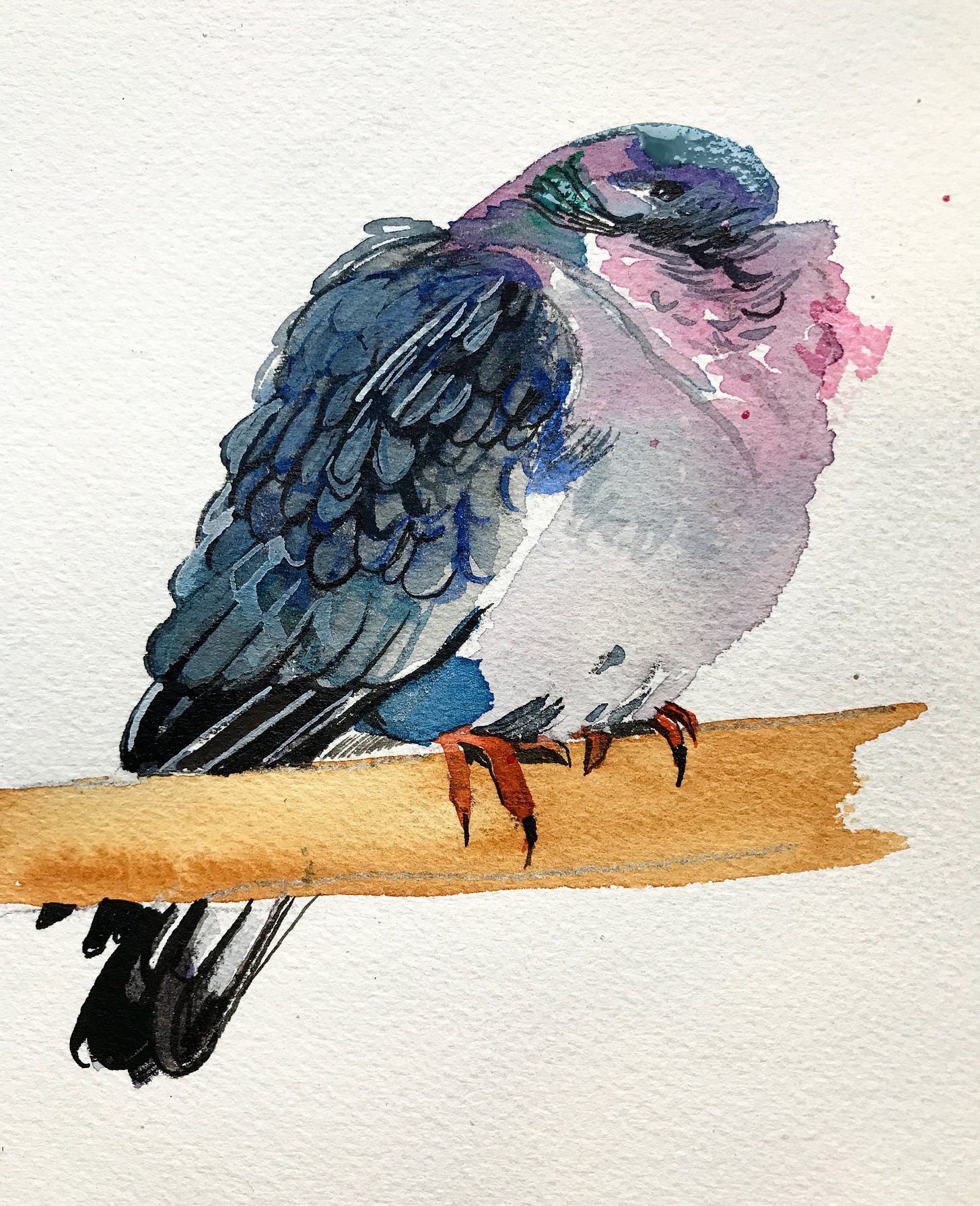 Bird Class! — Sophie Lucido Johnson