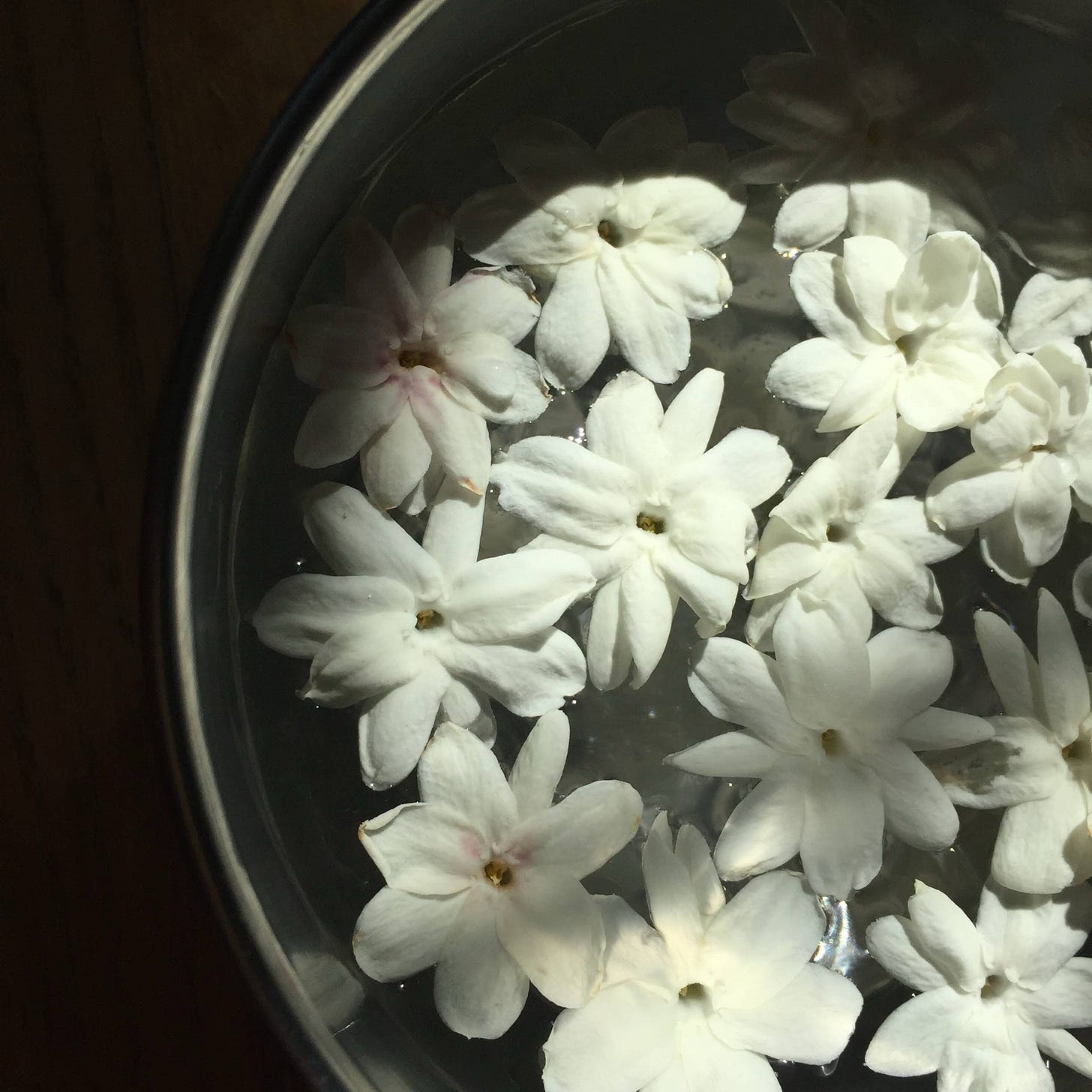 Jasmine flowers floating on water.