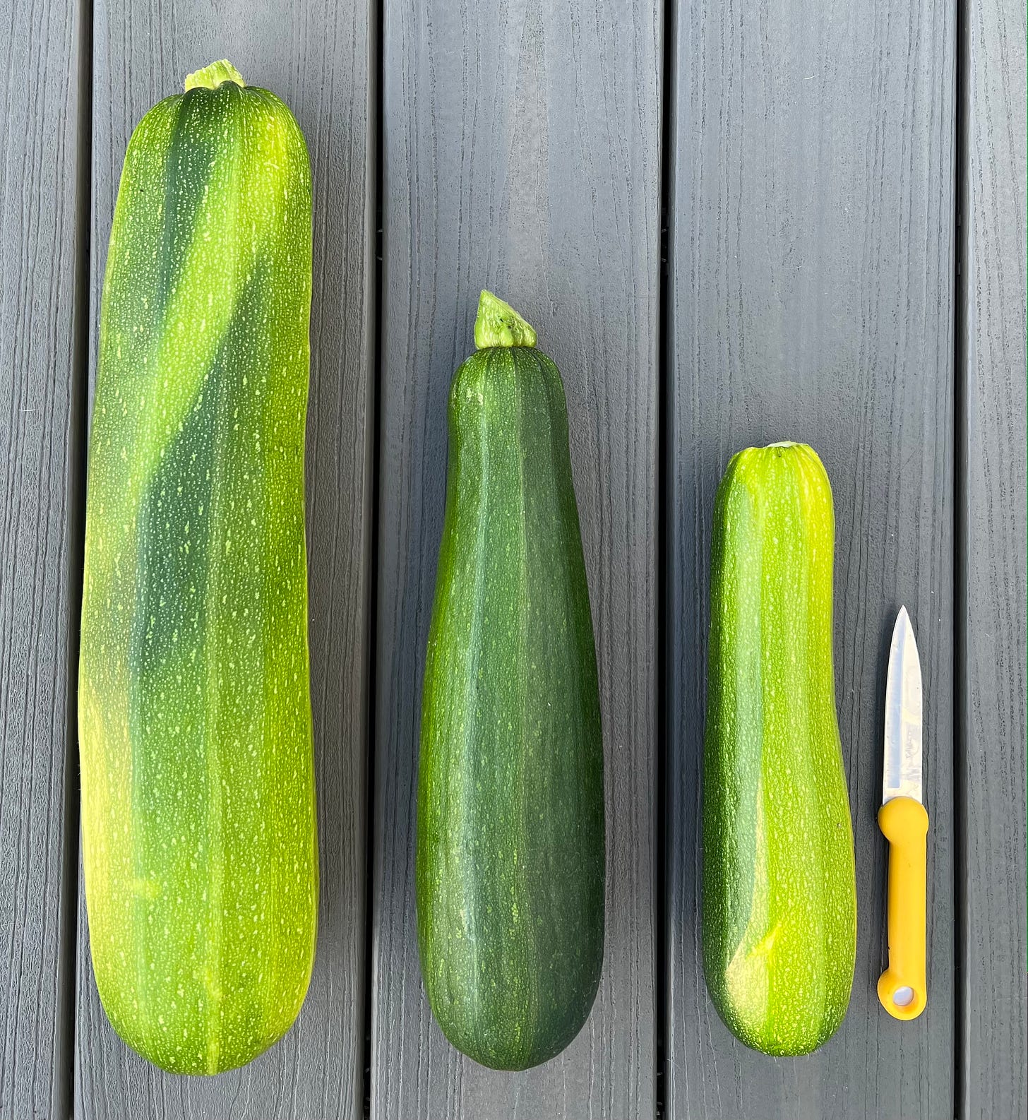 Photo of 3 zucchini on a grey deck with yellow knife next to them for scale.