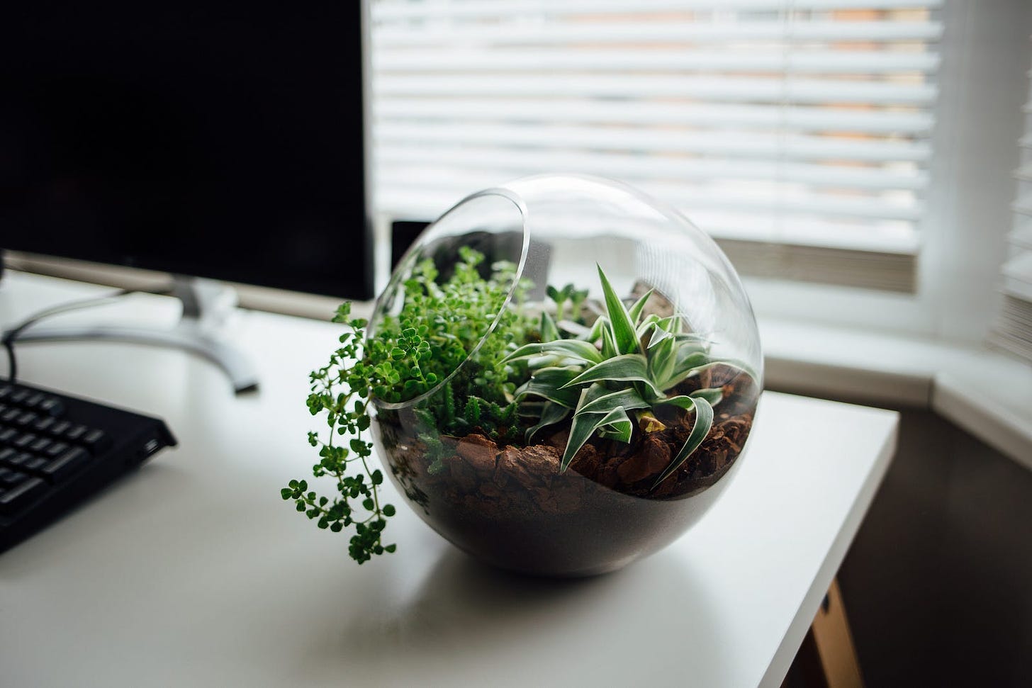 Pot plant in a spherical glass holder on a white desk with a black screen and keyboard