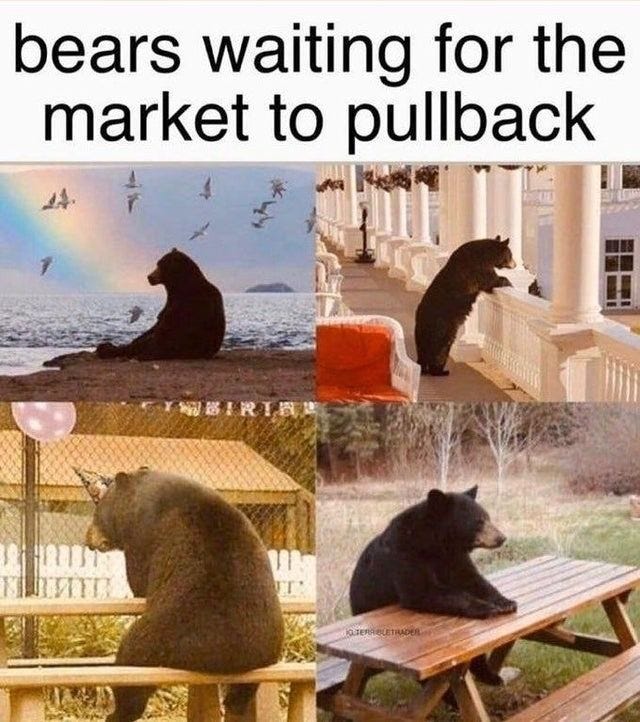 Bears waiting for the stock market to crash | Bear meme, Memes, Marketing  meme