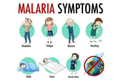 Malaria Causes, Symptoms, and Treatment - Regency Medical Centre