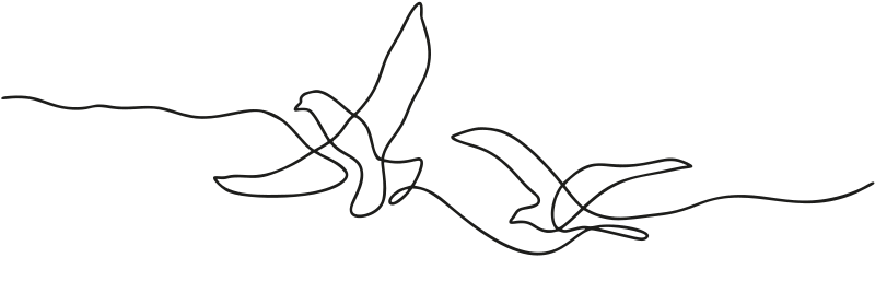 bird graphic divider