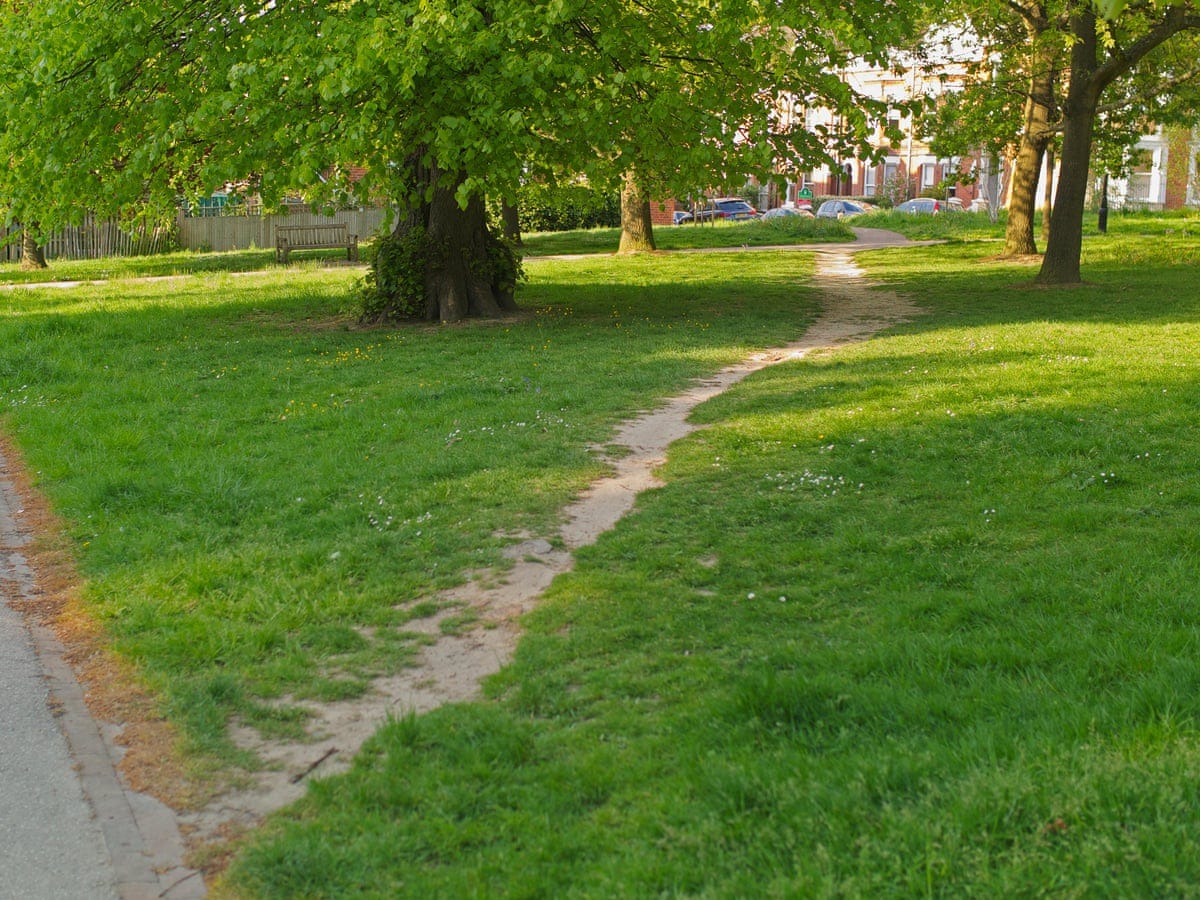Un "sentiero del desiderio", cioè un sentiero creato in un parco erboso con il capestio continuo delle persone. Compagiono anche due grossi alberti ai lati del sentiero.