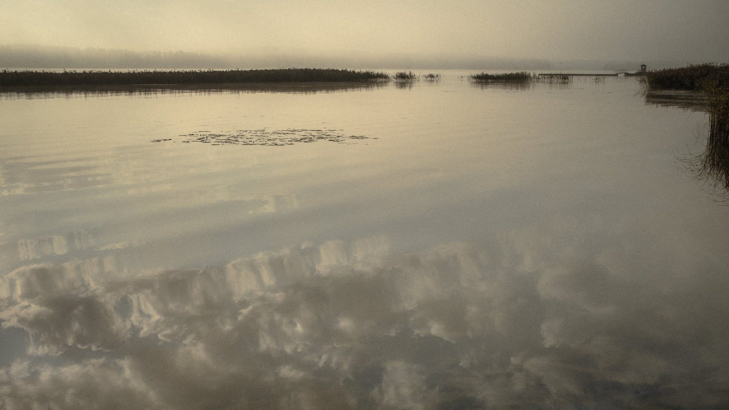 haikon kartanon ranta aamulla