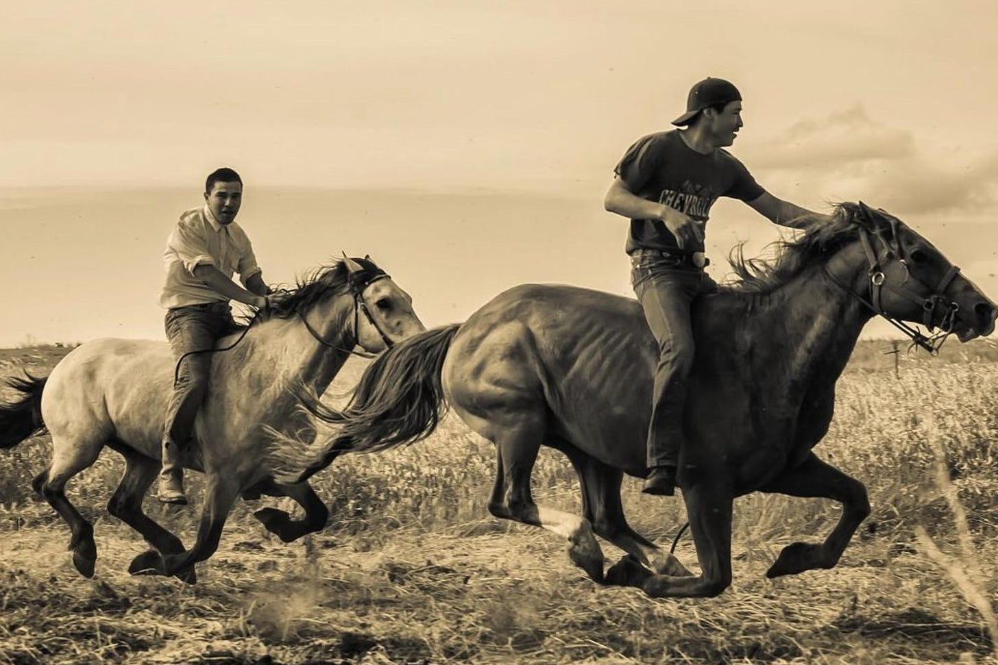 Sage to Saddle wranglers.