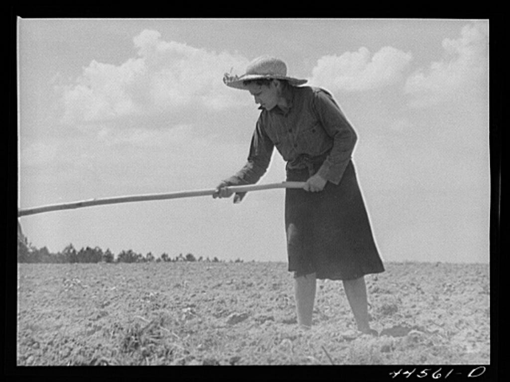 Mrs. Brice McKiver, chopping cotton on their rented farm. Near Woodville,  Greene County, Georgia - PICRYL - Public Domain Media Search Engine Public  Domain Search