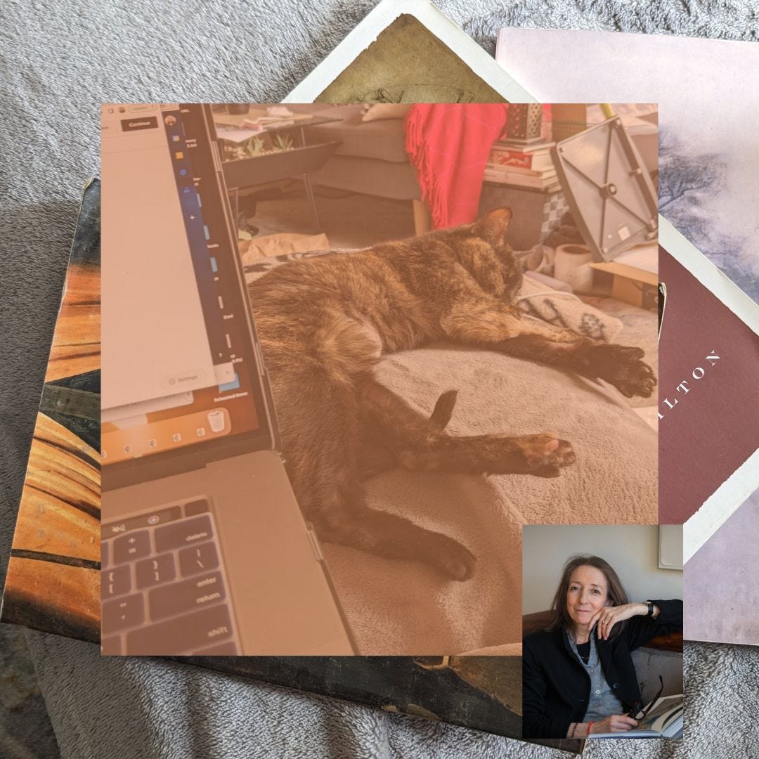 Cat and laptop and photo of Saskia Hamilton by Jacqueline Mia Foster